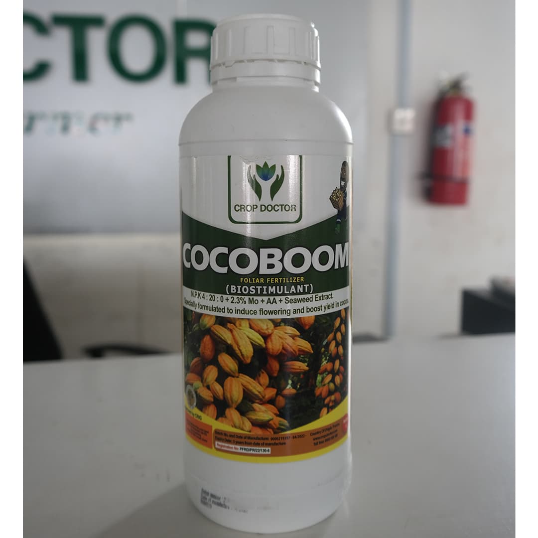 CocoBoom
