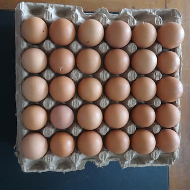Eggs
