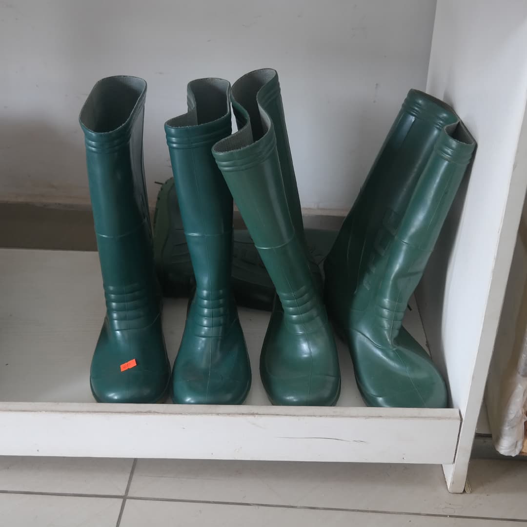 Boot