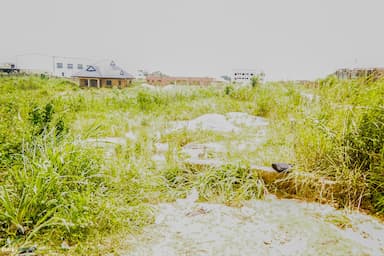 Two & Quarter plots of Land