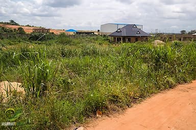 Two & Quarter plots of Land