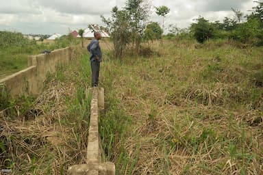 Two Plots of Land for sale
