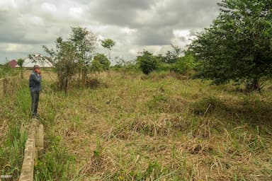 Two Plots of Land for sale