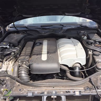 Benz 2006