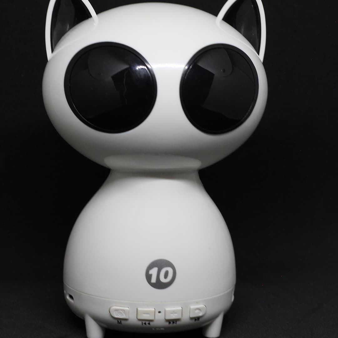 Q9 BLUETOOTH SPEAKER