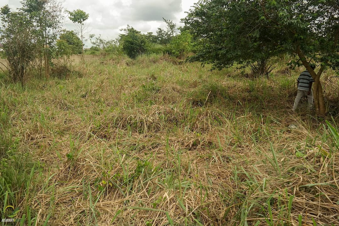 Two Plots of Land for sale