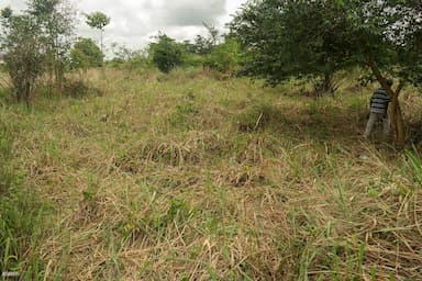 Two Plots of Land for sale