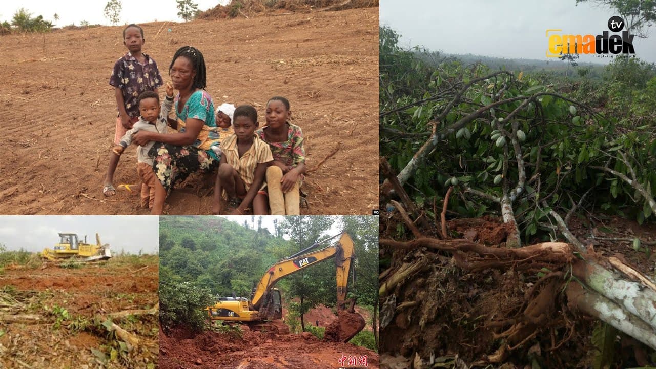 angry-juaso-cocoa-farmers-demand-compensation-over-destruction-of-farms-due-to-konongo-by-pass